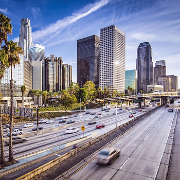 Los Angeles Window Shades: 4 Styles That Scream “LA!”