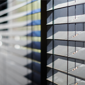 Exploring the Best kinds of Motorized Window Shades Los Angeles